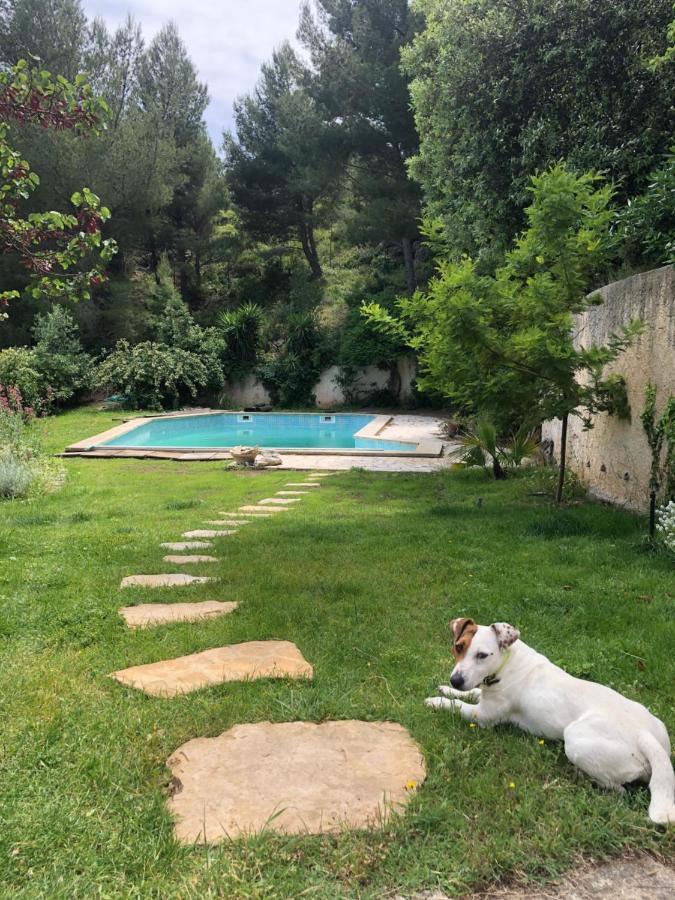 L'Appartement - Jardin Secret Μασσαλία Εξωτερικό φωτογραφία