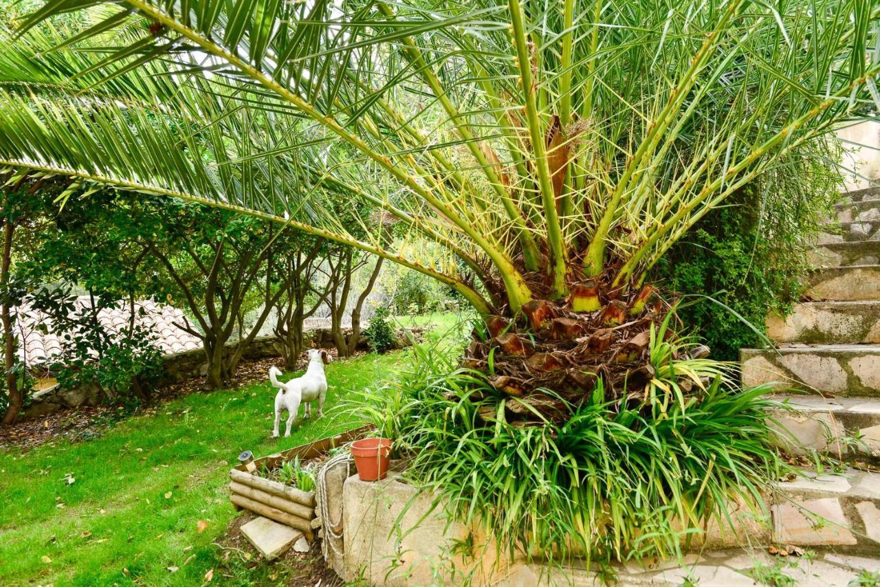 L'Appartement - Jardin Secret Μασσαλία Εξωτερικό φωτογραφία